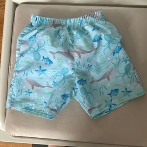 Green Sprouts Built in Diaper Swim Trunks